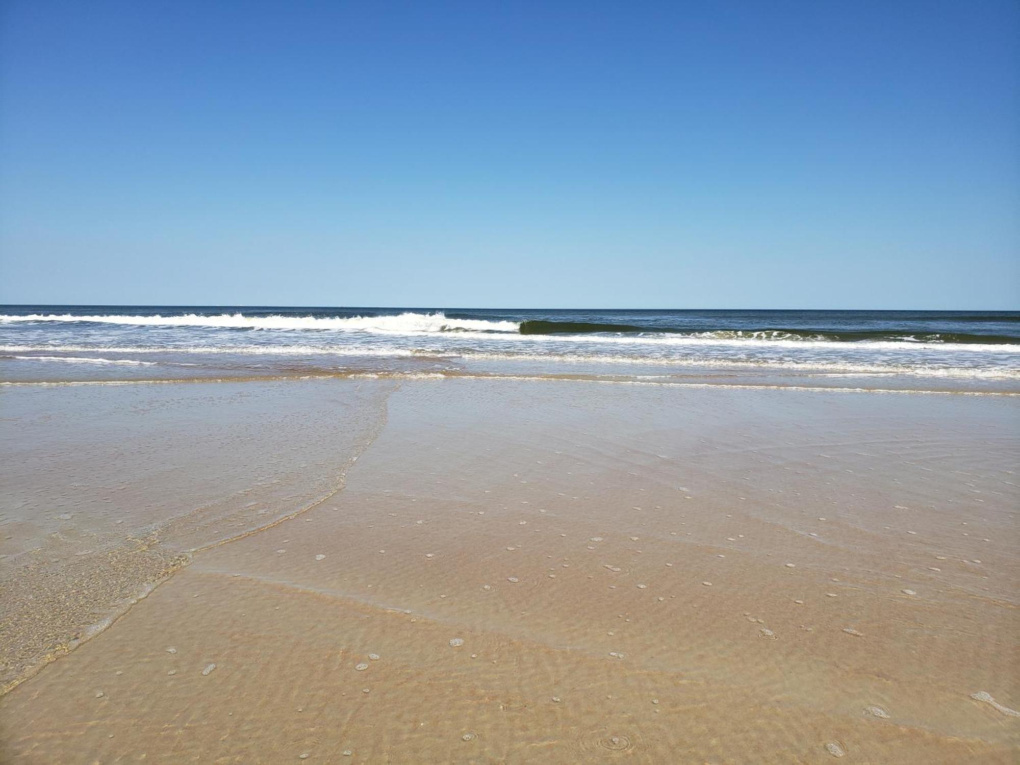 Beachside Bliss Ocean Views & Endless Fun Daytona Beach! Dış mekan fotoğraf