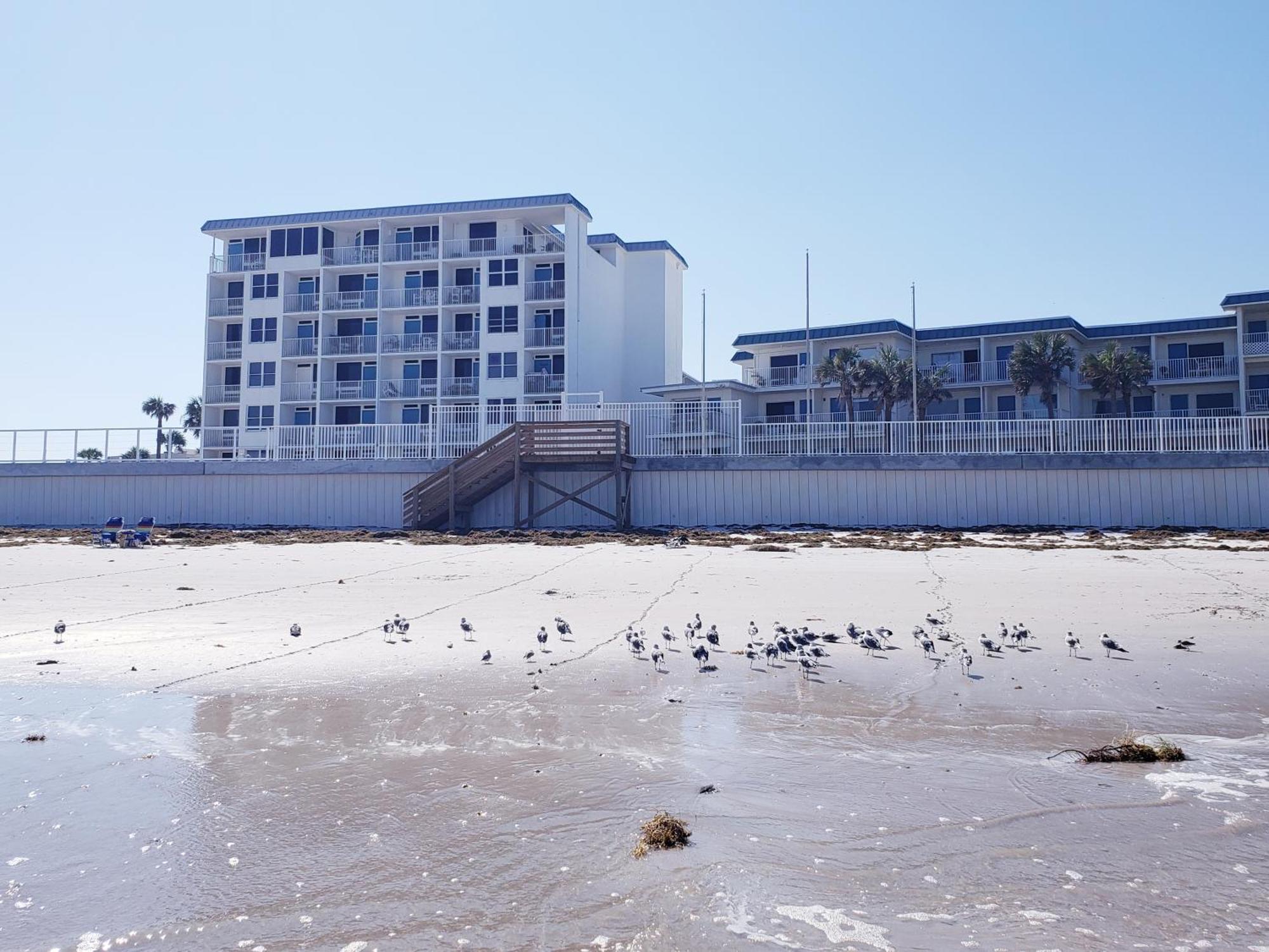 Beachside Bliss Ocean Views & Endless Fun Daytona Beach! Dış mekan fotoğraf